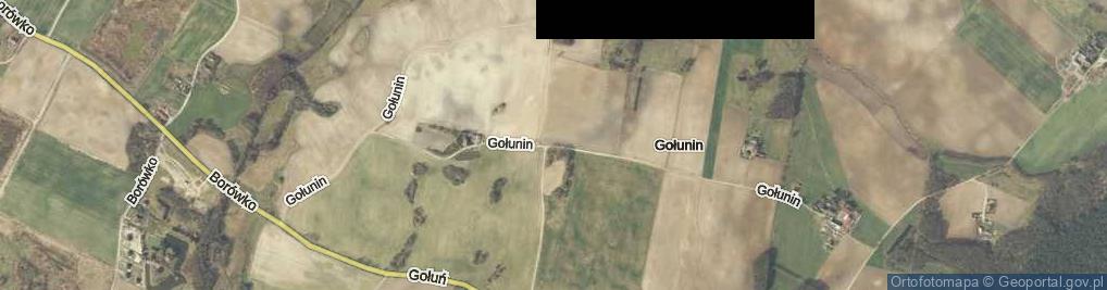Zdjęcie satelitarne Gołunin ul.