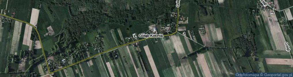 Zdjęcie satelitarne Gołąb-Kolonia ul.