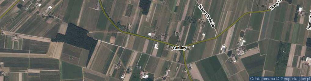 Zdjęcie satelitarne Gośliny ul.