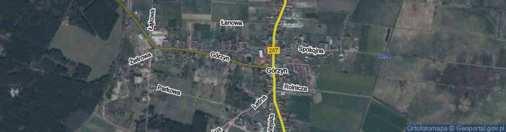 Zdjęcie satelitarne Górzyn ul.