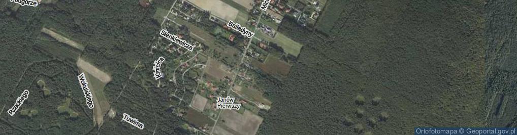 Zdjęcie satelitarne Goplany ul.