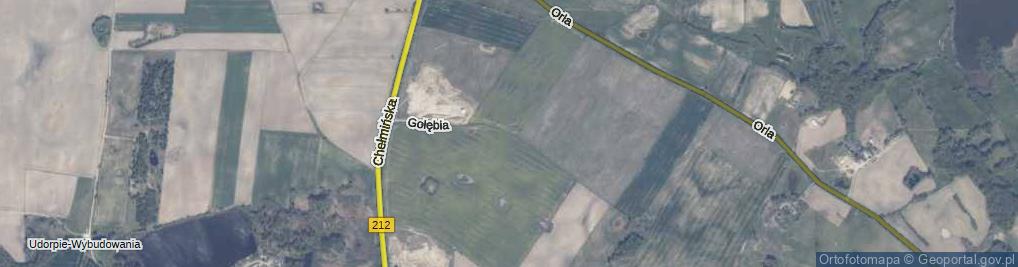 Zdjęcie satelitarne Gołębia ul.