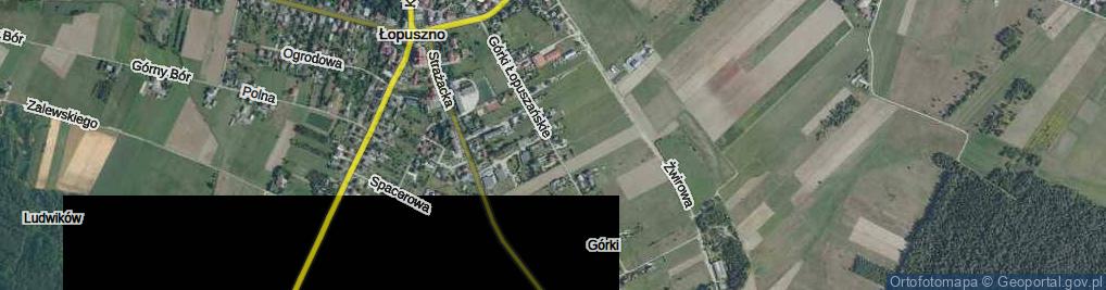 Zdjęcie satelitarne Górki Łopuszańskie ul.