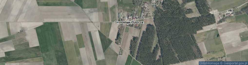 Zdjęcie satelitarne Gronostaje-Puszcza ul.