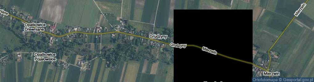 Zdjęcie satelitarne Grudzyny ul.