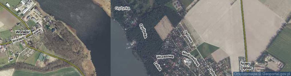 Zdjęcie satelitarne Gryżynka ul.