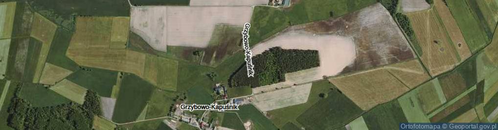 Zdjęcie satelitarne Grzybowo-Kapuśnik ul.