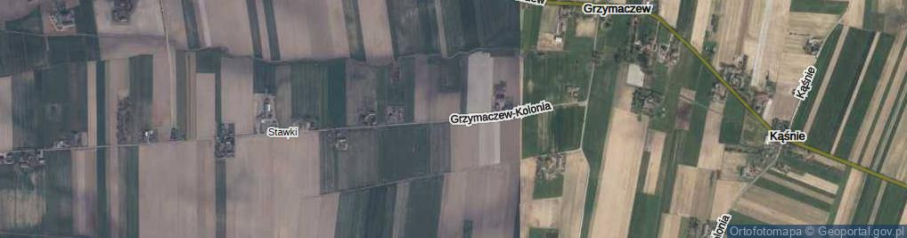 Zdjęcie satelitarne Grzymaczew-Kolonia ul.