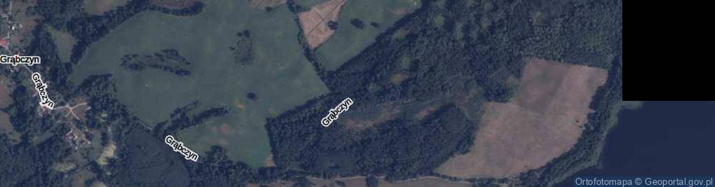 Zdjęcie satelitarne Grąbczyn ul.