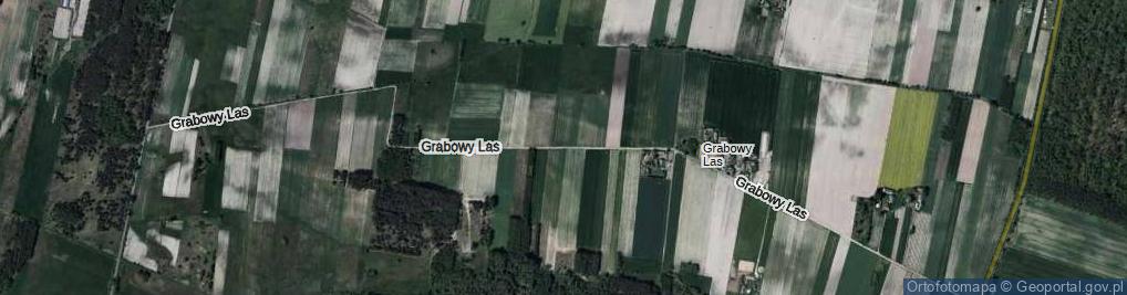Zdjęcie satelitarne Grabowy Las ul.
