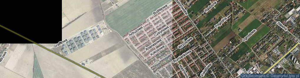 Zdjęcie satelitarne Grejpfrutowa ul.