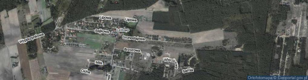 Zdjęcie satelitarne Gronostajowa ul.