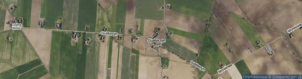 Zdjęcie satelitarne Gustorzyn ul.