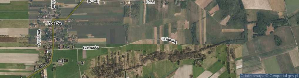 Zdjęcie satelitarne Guławska ul.