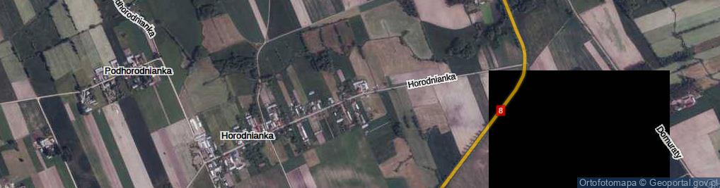 Zdjęcie satelitarne Horodnianka ul.