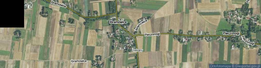 Zdjęcie satelitarne Ibramowice ul.