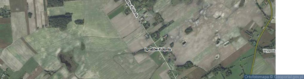 Zdjęcie satelitarne Ignatów-Kolonia ul.