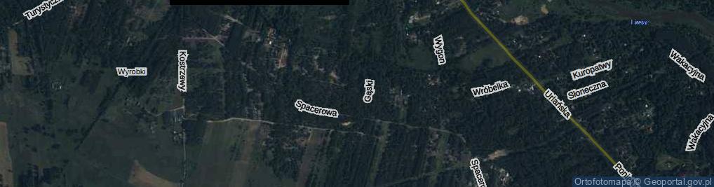 Zdjęcie satelitarne Iły ul.