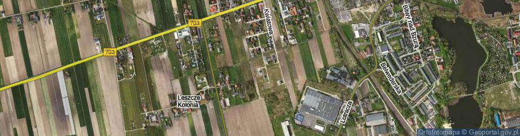 Zdjęcie satelitarne Irysowa ul.