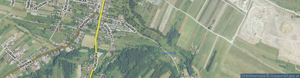 Zdjęcie satelitarne Iwańska ul.