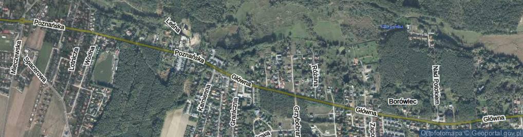 Zdjęcie satelitarne Jagodowa ul.