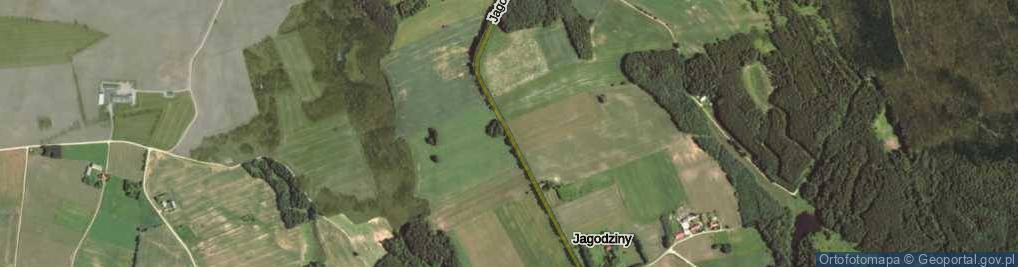 Zdjęcie satelitarne Jagodziny ul.