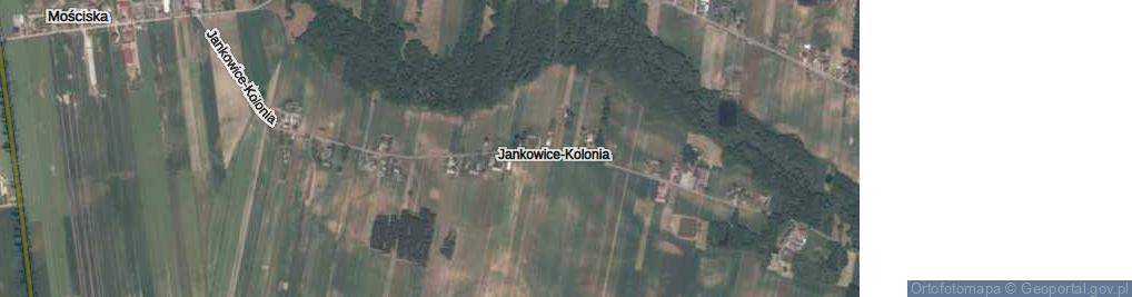 Zdjęcie satelitarne Jankowice-Kolonia ul.
