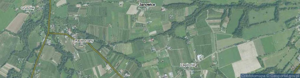 Zdjęcie satelitarne Janowice ul.