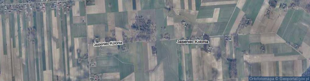 Zdjęcie satelitarne Jasieniec-Kolonia ul.