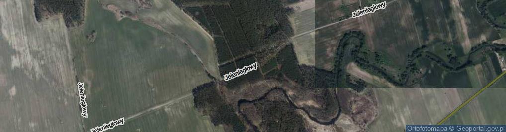 Zdjęcie satelitarne Jeleniegłowy ul.