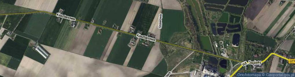 Zdjęcie satelitarne Kasztanowa ul.