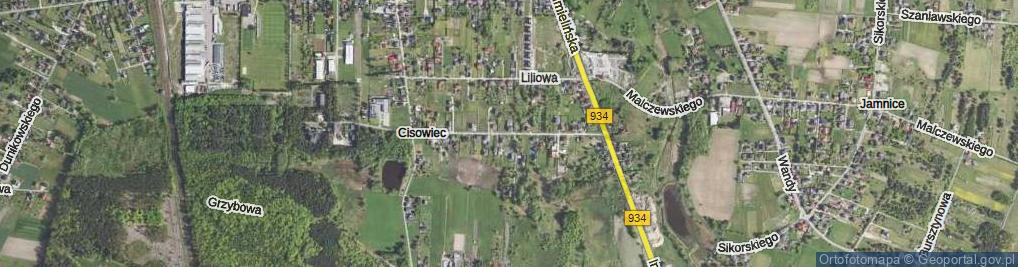 Zdjęcie satelitarne Karolinki ul.