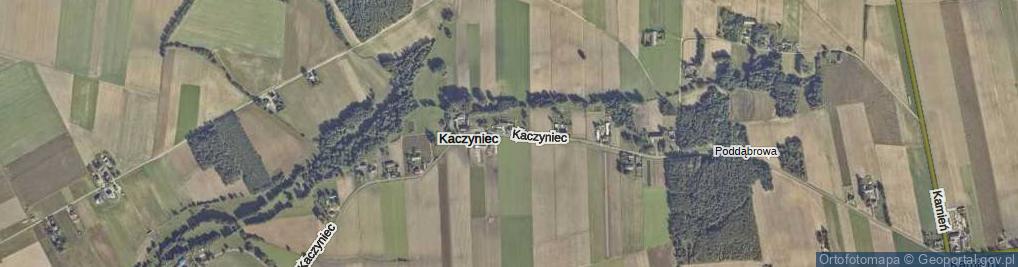 Zdjęcie satelitarne Kaczyniec ul.