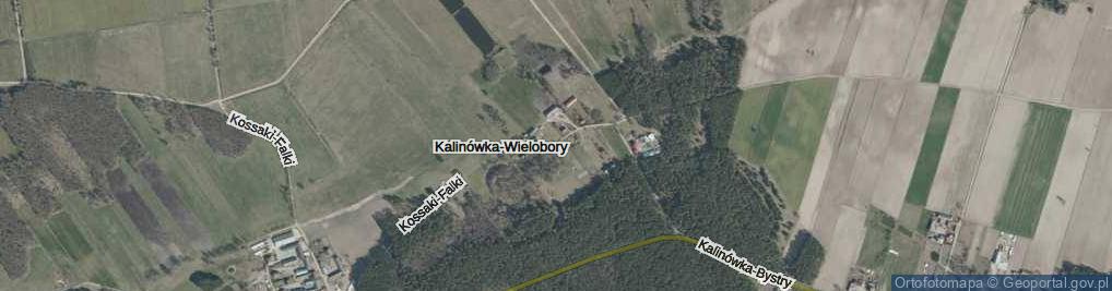 Zdjęcie satelitarne Kalinówka-Wielobory ul.