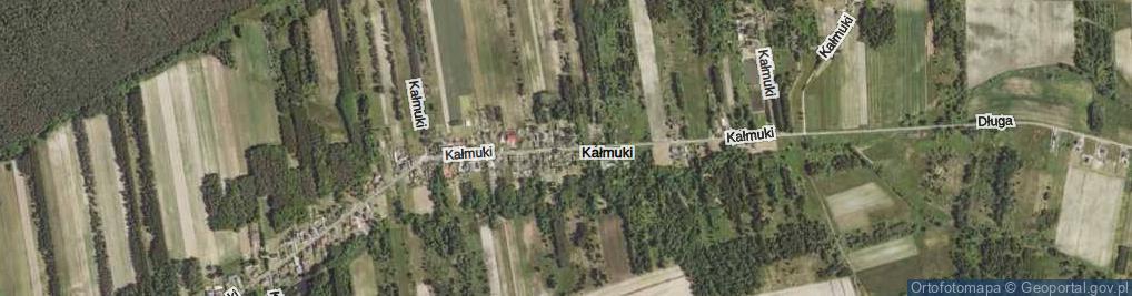 Zdjęcie satelitarne Kałmuki ul.