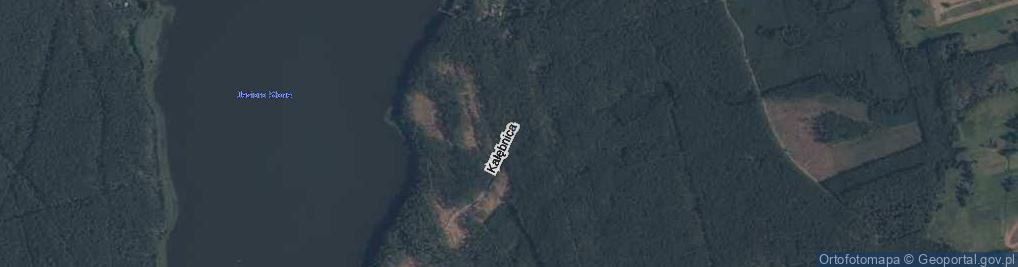 Zdjęcie satelitarne Kałębnica ul.