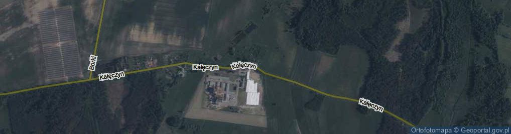 Zdjęcie satelitarne Kałęczyn ul.