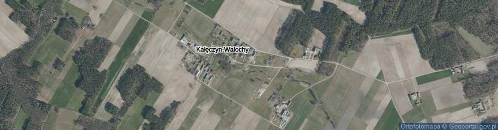 Zdjęcie satelitarne Kałęczyn-Walochy ul.