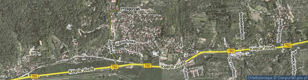 Zdjęcie satelitarne Kamedulska ul.
