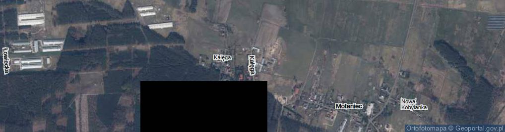 Zdjęcie satelitarne Kałęga ul.