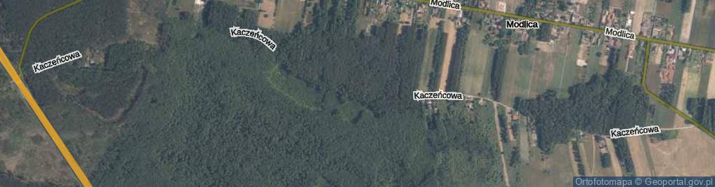 Zdjęcie satelitarne Kaczeńcowa ul.