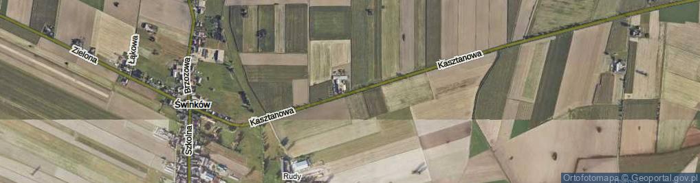 Zdjęcie satelitarne Kasztanowa ul.