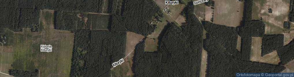 Zdjęcie satelitarne Kituryki ul.