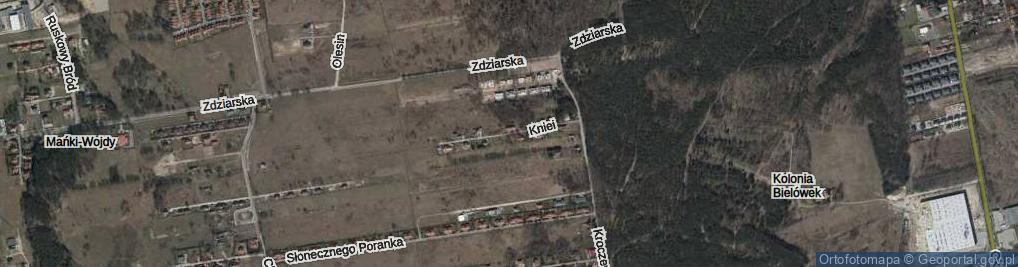 Zdjęcie satelitarne Kniei ul.