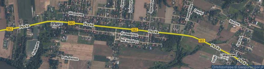 Zdjęcie satelitarne Konwaliowa ul.