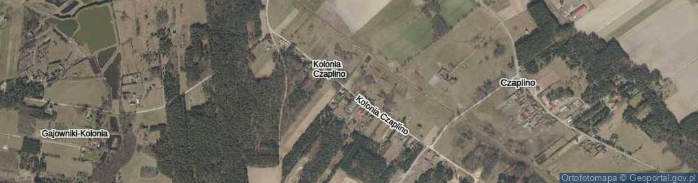 Zdjęcie satelitarne Kolonia Czaplino ul.