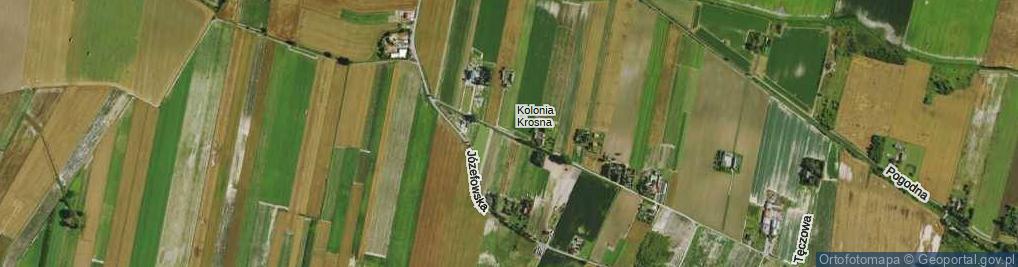 Zdjęcie satelitarne Kolonia Krosna ul.