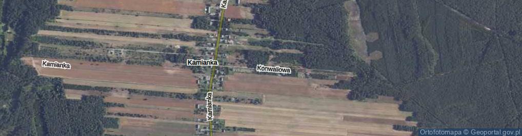 Zdjęcie satelitarne Konwaliowa ul.