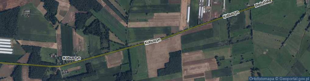 Zdjęcie satelitarne Kobuszyn ul.