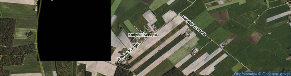 Zdjęcie satelitarne Kobylaki-Konopki ul.